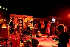 Vidwan band performing